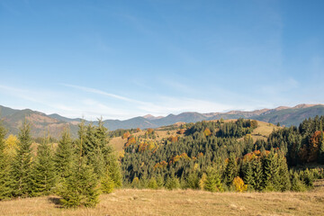 Fototapeta na wymiar Beautiful view of mountains in Ukraine. Wonderful panoramic landscape with autumn forest on a sunny day.