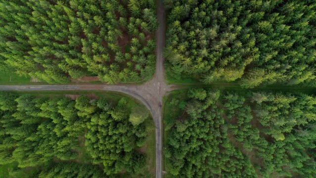Aerial bird's eye view over a crossroad of two roads in the middle of a dense green forest at daytime. Summer. Aerial top view.