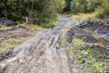 Dirty road in the forest background close up