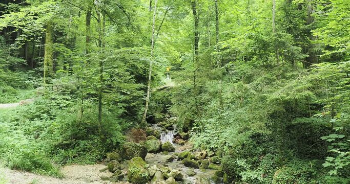 Reigoldswil Wasserfallen imTal der hinteren Frenke in der Schweiz