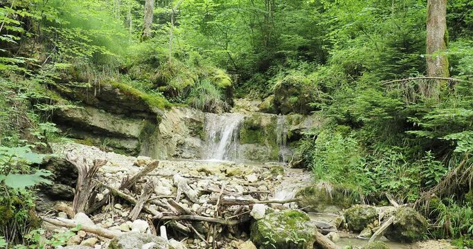 Reigoldswil Wasserfallen imTal der hinteren Frenke in der Schweiz. Erfrischender Wasserfall entlang eines schmalen bewaldeten und schattigen Weges