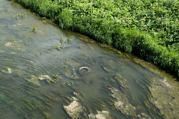 Pollution of water bodies, poor ecological situation. Dirty river, top view. Old car tire sank in the river. Long-decaying industrial rubber waste