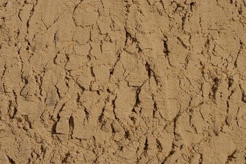 texture of brown gray dry sand with cracks