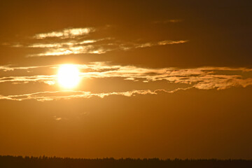 The solar disk and evening clouds on the background of the forest