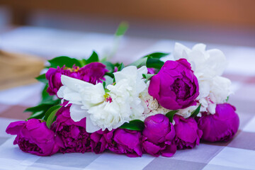 bouquet of colorful peony flowers close up, selective focus, white and purple peonies