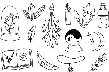 Esoterical set with mystical mushrooms, leaves, floral elements. Witchy spiritual doodle.