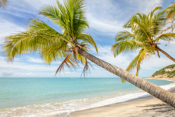 Fototapeta na wymiar Secluded sand beach in Porto Seguro praia do espelho beach, Bahia, Brazil