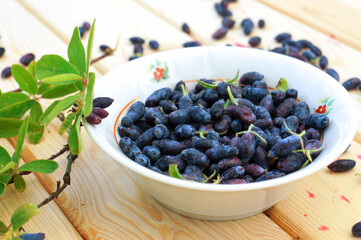 Fresh Ripe Honeysuckle Berries on Wooden Table.