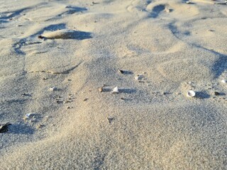 footprints in the sand