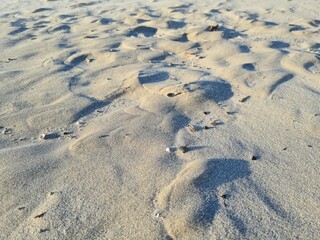 footprints in the snow