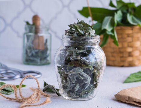 Dried mint leaves in a glass jar on a light concrete background. Preparation of herbs