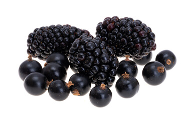 blackcurrant and blackberry berries isolated