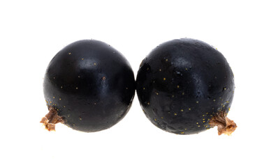 blackcurrant berries isolated