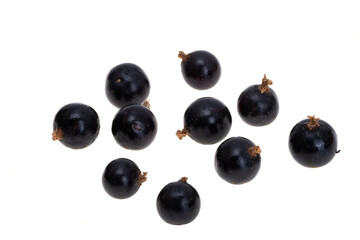 blackcurrant berries isolated