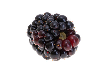 blackberry isolated