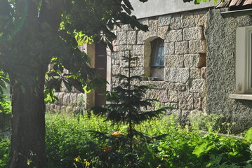 Zdjęcie przyrody przedstawiające zielony ogród przed domem - obrazy, fototapety, plakaty