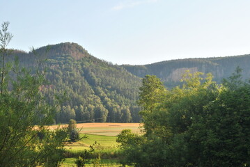Zdjęcie przyrody przedstawiające górski krajobraz górski, wykonano w Sudetach