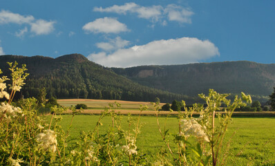 Fototapeta na wymiar Zdjęcie przyrody przedstawiające górski krajobraz górski, wykonano w Sudetach