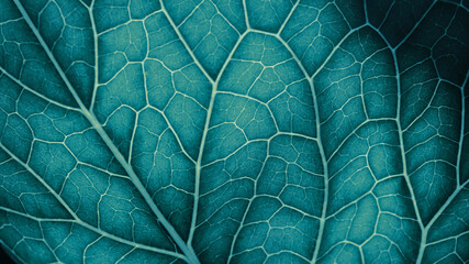 Plant leaf closeup. Mosaic pattern of  cells and veins. Wallpaper on vegetable theme. Abstract...