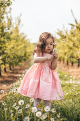 little girl in a pink dress