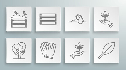 Set line Tree with pears, Wooden box, Garden gloves, Plant in hand of environmental protection, Leaf, Watering sprout, and for fruits vegetables icon. Vector