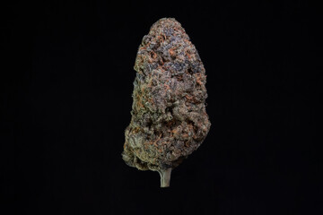 photo of cannabis weed marijuana or ganja - 516215953