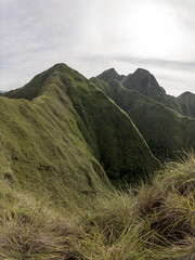 Cerro Picachos de Ola 