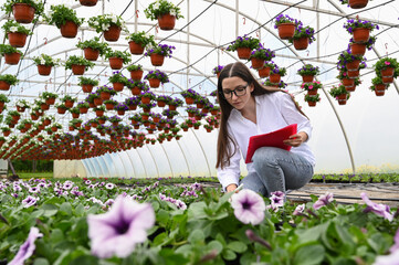 Gardener woman working on flowers in greenhouse and makes notes. Greenhouse produce. Small floral business concept. 
