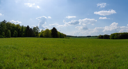 Panorama of a landscape with green meadow, trees and a blue sunny sky in summer
