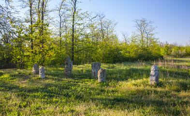 Ancient pagan idols in National-historical and archaeological reserve 
