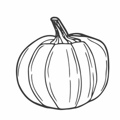 Vector hand drawn pumpkin outline doodle icon. Food sketch illustration for print, web, mobile and infographics isolated on white background.