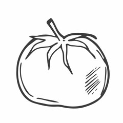 Hand drawn isolated food icon. Black outline illustration of vegetable. Tomato icon.