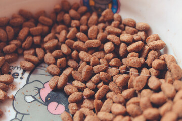 Cat food