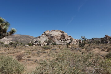 Joshua Tree National Park, CA