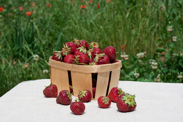 Summer strawberry harvest. Ripe appetizing red strawberries in wooden box stand on table against background of green grass and blooming clover. international strawberry day