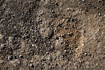 detail of a gravel road background