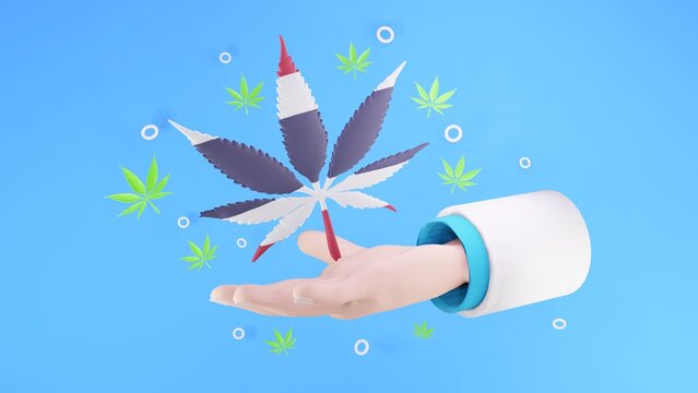 Doctors Hand With Thailand Cannabis Leaves, 3D Rendering, 3D Illustration 