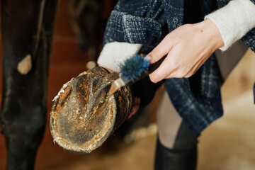Close up of unrecognizable young woman cleaning horse hoof in stables using metal pick tool, copy space - obrazy, fototapety, plakaty