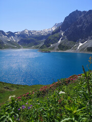 Summer by the Lunersee surrounded by flowers and mountains - Austria 