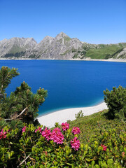 Summer by the Lunersee surrounded by flowers and mountains - Austria 