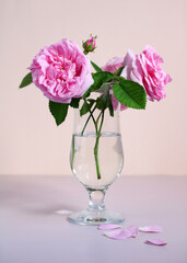 Pink roses in a glass vase.