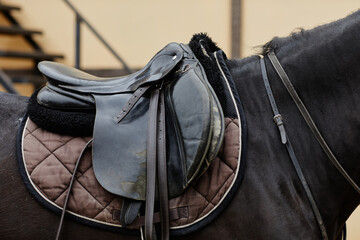 Side view closeup of worn leather saddle on back of black horse in stadium, copy space