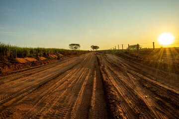 Rural dirt road, which crosses plantations and pastures during sunset, with clear sky and yellow sunbeams, warm colors in high resolution