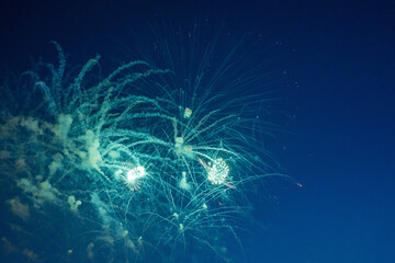 Firework over the blue sky at night, white, and green. Amateur photo. Noise. Grain.