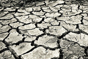 dry cracked earth