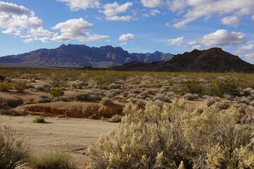 Mojave Desert, CA - Sierra Nevada Mountains