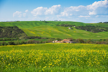 Tuscan countryside landscape. Italy