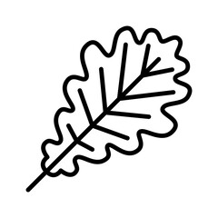 Oak leaf plant icon. Pictogram isolated on a white background.