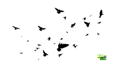 A flock of flying birds. Free birds. Vector illustration