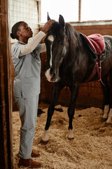 Vertical full length portrait of female veterinarian examining horse in stables and looking into...